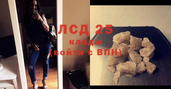 СК Михайлов