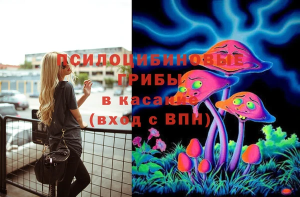 СК Михайлов
