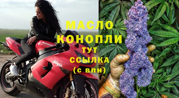 СК Михайлов