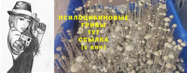 СК Михайлов