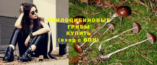 СК Михайлов
