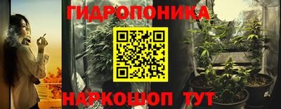 скорость Кингисепп