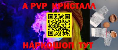 скорость Кингисепп