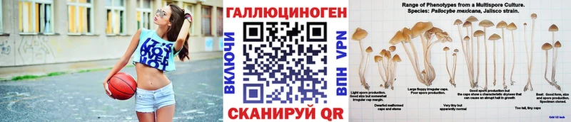 Галлюциногенные грибы Cubensis  Краснокаменск 