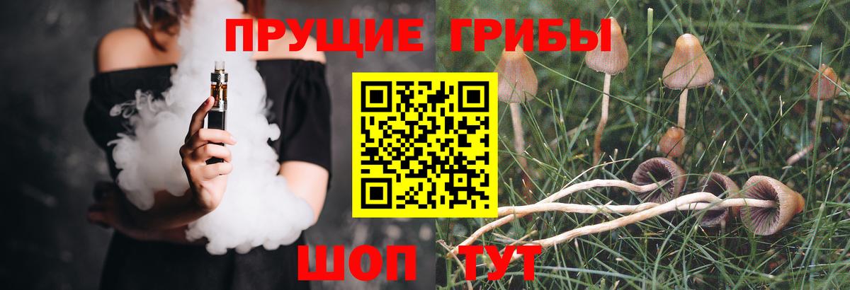 где найти   Галлюциногенные грибы Psilocybe  Вход с VPN  Краснокаменск 