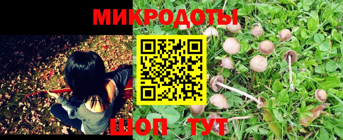 Галлюциногенные грибы Magic Shrooms  Краснокаменск 